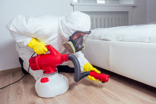 Professional Pest Control in Henning, TN