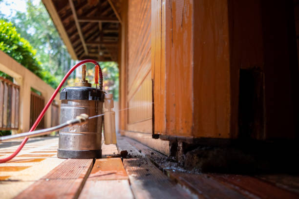 Best Cockroach Control Services  in Henning, TN