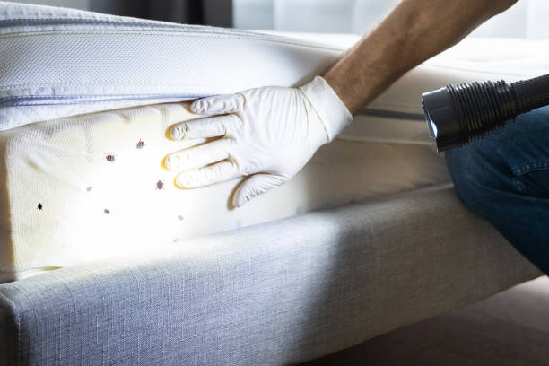 Best Commercial Pest Control Services  in Henning, TN