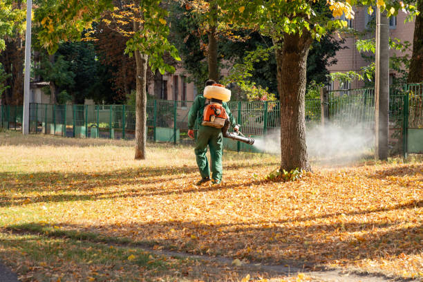 Best Exterminator Services  in Henning, TN